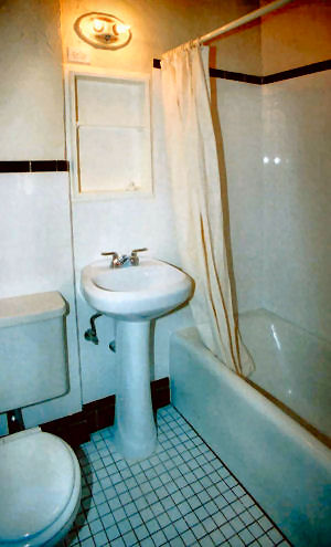 1329-3 bath